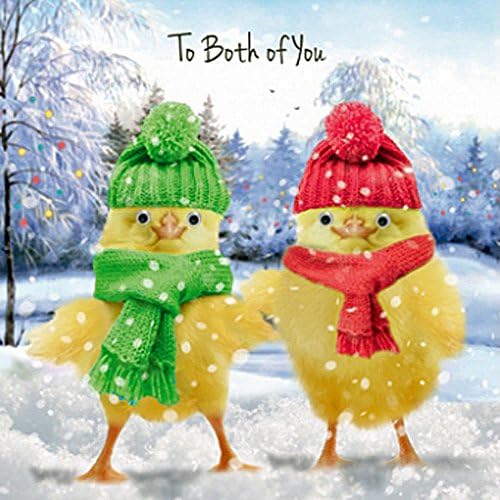 Two Chicks 'To Both Of You' Christmas Card 3D Goggly Moving Eyes