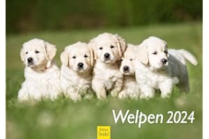 ‎EDITION SEIDEL Edition Seidel Premium Kalender Welpen 2024 Format DIN A3 Wandkalender Hundekalender Weltweit Hund Welpe Hunderasse Haustier
