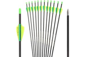 ACCMOS 12pcs Practice Arrows Spine 250 300 350 400 500 600 700 800 900 1000 Hunting Arrow ID 4.2mm Gold Color Tags Carbon Arrow for Bow and Arrow Games