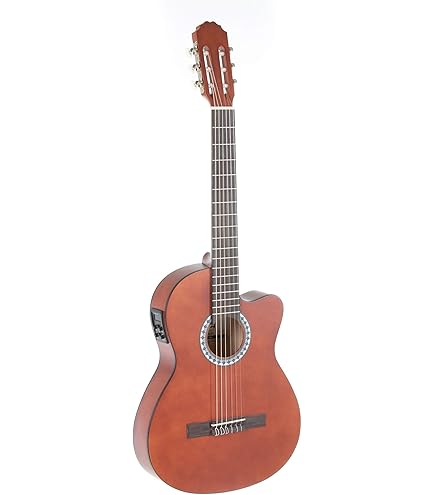 Ibanez AEQ2T - Guitarra electro clásica para conciertos : Amazon