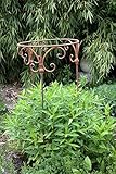Durchmesser: 50 cm Gerry Staudenhalter 50cm Strauchhalter Staudenbinder rund Rankhilfe Stütze Pflanzen Metall Eisen Rost Deko