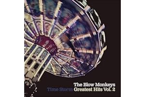 Time Storm: Greatest Hits Vol 2 - Blue Vinyl [Vinyl LP]