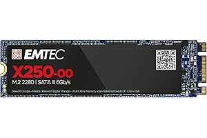 Emtec X250 M.2 2 to Série ATA III 3D NAND
