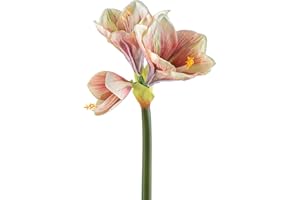 ‎CREATIV GREEN CREATIV green Amaryllis 68 cm in Pink, Artificial Amaryllis with Lifelike Flowers, High-Quality & Stylish Real Touch Artificial Amaryllis, Artificial Flower, Amaryllis Ideal as Indoor or Christmas