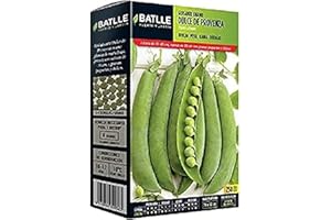 Semillas Batlle – Petit Pois Nain Dulce De Provenza 250 gramos