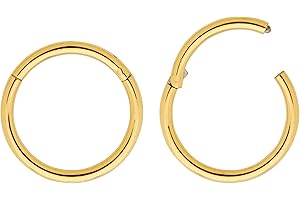 365 SLEEPERS Lot de 2 boucles d'oreilles unisexes en titane 16 g à charnière pour lèvres, nez, hélice, tragus, septum, 6 mm – 16 mm
