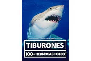 Libro De Fotografía - Tiburones - Gran y Asombrosa Colección: 100 Hermosas Fotos En Este Fantástico Libro De Fotos De Tiburones - Para Niños y Adultos