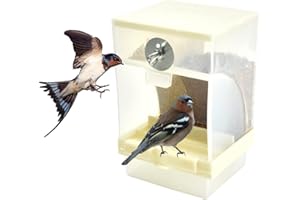 Auptiz Alimentatore Automatico per Uccelli mangiatoia Contenitore per Alimenti per Uccelli trasparente per pappagallino canarino pappagallino fringuello,16 x 10 x 9.5cm