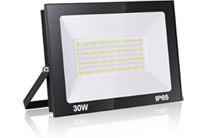 Royana Projecteur LED Extérieur 30W 3000LM 6000K Blanc Froid IP65 Étanche pour Terrasse, Jardin, Parc, Garage, Cour, Entrée