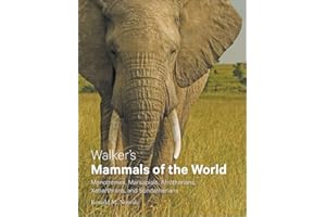 Walker's Mammals of the World: Monotremes, Marsupials, Afrotherians, Xenarthrans, and Sundatherians