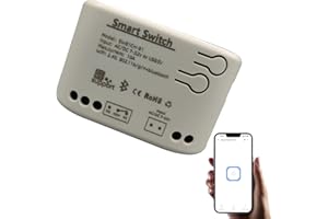 Newgoal 1 canale Smart Switch Relè WiFi momentaneo/a scatto, interruttore di controllo Bluetooth eWeLink APP, casa intelligente fai-da-te, compatibile con Alexa Google Home