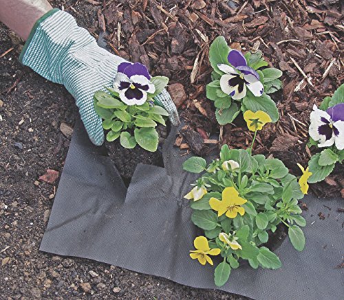 Windhager Unkraut Vlies Basic, 5 x 1,6 m - 3