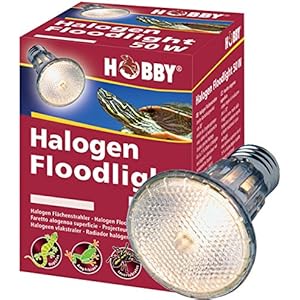 Hobby 37387 Diamond Halogen Floodlight, 75 W
