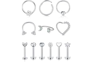 Rajnard Helix Piercing Tragus Cartilage en Acier Chirurgical Piercing d'oreille Cartilage 16G CZ Piercing Bijoux Femmes Hommes Argent