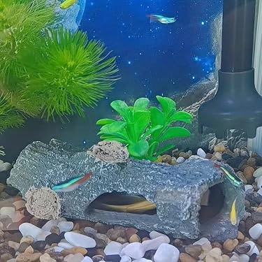 ACQUARIO FISH HOUSE Acrilico Betta Serbatoio Piccolo Acquario - 8