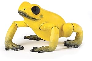 Papo- Grenouille équatoriale Jaune LA Vie Sauvage Animaux Figurine, 50174, Papo-50174-Grenouille