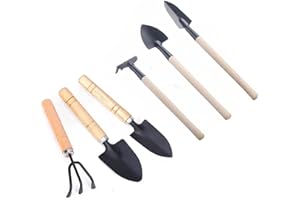 WAGOODTER Juego de 6 herramientas de jardinería mini herramientas manuales de jardinería pequeñas y ligeras pala de rastrillo de hierro para interior y exterior sueltos y trasplante de plantación de macetas