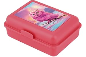 Baagl Boîte à goûter pour enfants avec compartiments - Boîte à goûter avec séparateur pour l'école et le jardin d'enfants - Lunchbox avec compartiments pour les filles (Hibou)