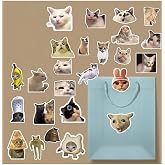 Komik Kedi/meme cat sticker paketi/bullet journal defter &ccedil;ıkartma ajanda laptop etiket