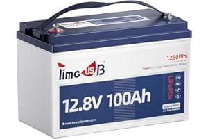 Timeusb 12V 100Ah TM Batería de Litio con Protección de Baja Temperatura,1280Wh con 100A BMS,15000 Ciclos Profundos,IP65 LiFePO4 Batería para Motores Trolling,Yates,Barcos,Campers,Energía para el Hoga