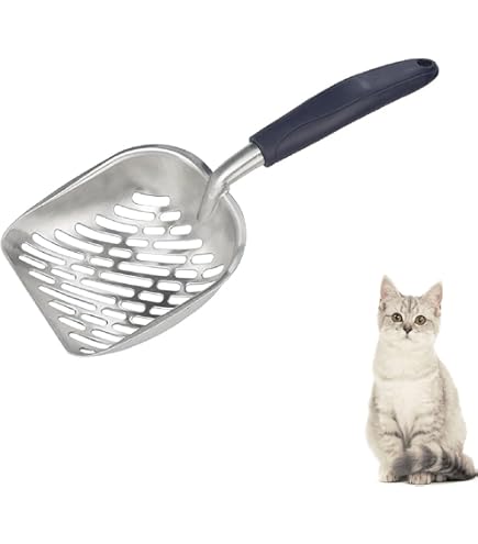 504847_5