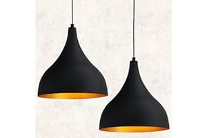 bamyum Lámpara Colgante de Negro | Adash | Lámpara de Metal de 2 llamas Ø26 cm E27 Lámpara de Salón Pantalla Colgante Lámpara de Techo Lámpara de Salón Lámpara de Mesa de Comedor