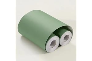 VisitRyl Frise Murale Autocollante Givrage vert clair 15cm X 500cm Adhésive Réutilisable pour Décoration Intérieure Facile à Poser