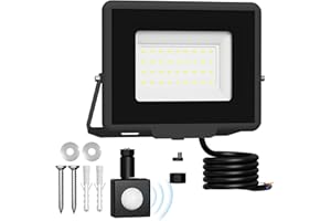Probapro 30W Faretto Led da Esterno con Sensore di Movimento - Proiettore 3000LM IP65 Impermeabile, 6500K Bianca Fredda per Giardino, Cortile, Garage | Faro LED Esterno con Alta Luminosità e Durata