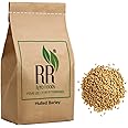 R R AGRO FOODS Hulled Barley 3 KG | Naturally Processed | Jou Without Husk Pack of 1