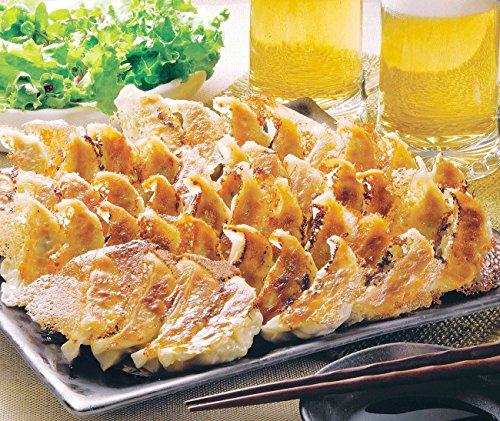 ［餃子の王国］工場直売生餃子 48個　九州の自社工場で作っています。全国へ直送！