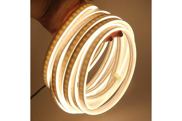 XUNATA Lumière au néon LED, 12V 2835 120leds / m imperméable à l'eau flexible LED Light Strip au néon avec, pour Chambre, Noël, Fête, etc (Blanc chaud,3M