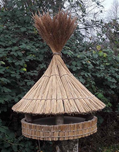 Vogelfutterhaus mit Reetdach, „Tippi – Haus mittel“ - 2