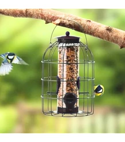 SingingFriend FeedR vogelvoederhuisje - Grijs online kopen