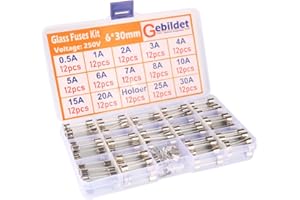 Gebildet Kit de 168pcs Fusibles en Verre Coup Rapide Voiture (0.5A-30A) avec 12pcs Porte-Fusible