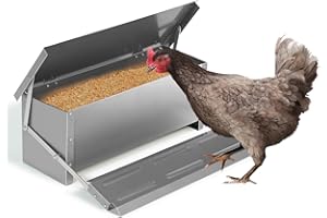 IDMarket – Alimentador XXL para gallinas, dispensador automático con pedal de acero, 10 kg