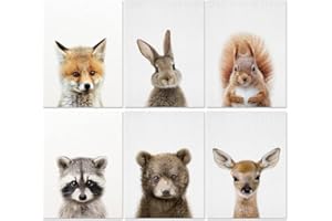 OCDSLYGB Forest Animals Posters Animals Pictures Decoration Forest Animals Bedroom Accessories Room Poster Set Set of 6 Children's Room PosterWall Art and Safari Decoration - No Frame