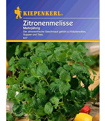 Zitronenmelisse mehrjährig, 1 Tüte Samen