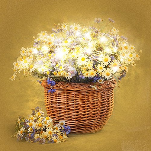 Lichterkette 200er LED TaoTronics warmweiß 20m dimmbare Kupferdraht wasserdicht Sternenlicht außen und innen für Weihnachten Halloween Zimmerdekoration Hochzeit 3 Modi 10 Stufen Helligkeit - 4