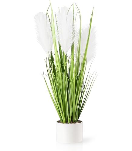 Amazon.de: mucplants Chinaschilf Kunstgras, 35cm, im schwarzen  Topf/Kunstpflanze/knstliches Gras