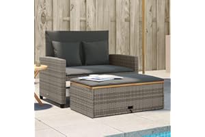 Amorsee Sofá de jardín de 2 Plazas con Reposapiés de Almacenaje, Sofa Jardin Terraza, Sofas De Terraza, Muebles Jardin Exterior con Respaldo Inclinable y Cojines, Gris