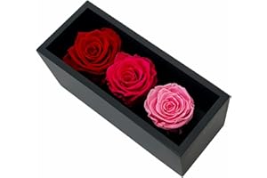 KHIVA Rose stabilizzate per la festa della mamma in scatola di legno, 3 fiori di compleanno rossi/rosa per consegna prioritaria, fiori eterni, rose naturali per sempre che durano per anni, rosa eterna