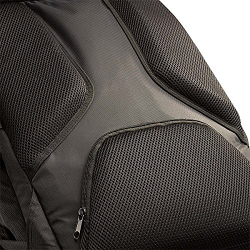 Case Logic RBP217 Notebook Backpack 43 9 cm  17 3 Zoll  mit iPad Tablet-Fach Schwarz
