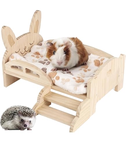 Maison En Herbe Pour Petits Animaux - Cabane Pliable Lapin, Cochon D'Inde, Hamster - Refuge Naturel Pour Jouer Et Se Reposer