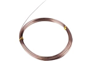 ESHAN Craft Wire 1mm 10m Anodized Silver Aluminum Wire for Bead Making Art Craft DIY Embellishment Decoration Florist Supplies (Brown)