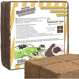 [Gesponsert]70 L Kokoseinstreu Bodengrund Terrarienerde für Reptilien - Kokoserde einfach portionierbar - Maxiblock Terrarium Humusziegel Einstreu Cocoground Kokosgrund Kokoshumus Kokosziegel Kokosfaser Briketts Kokobricks -fein-