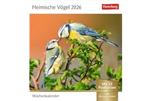 Heimische Vögel Postkartenkalender 2026 - Wochenkalender mit 53 Postkarten: Wochenkalender im Postkarten-Format mit Vogelporträts. Tischkalender mit ... neuen Postkarten zum Sammeln und Verschicken