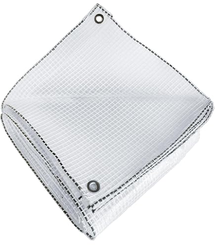 Afdekzeil, waterdicht, 2 x 4 m, winterbestendig, 140 g/m², transparant, met ogen, voor planten, meubels, boot, vrachtwagen, brandhout
