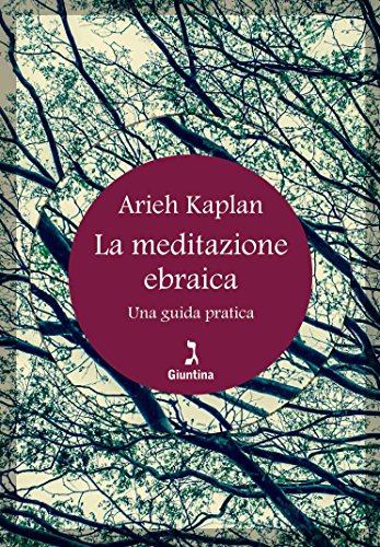 La meditazione ebraica: Una guida pratica libro