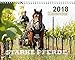 Starke Pferde Kalender 2018 by 