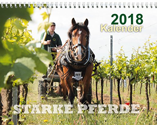 Starke Pferde Kalender 2018